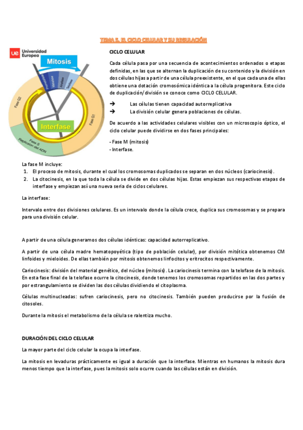 Miniatura del documento t5-procesos-III.pdf