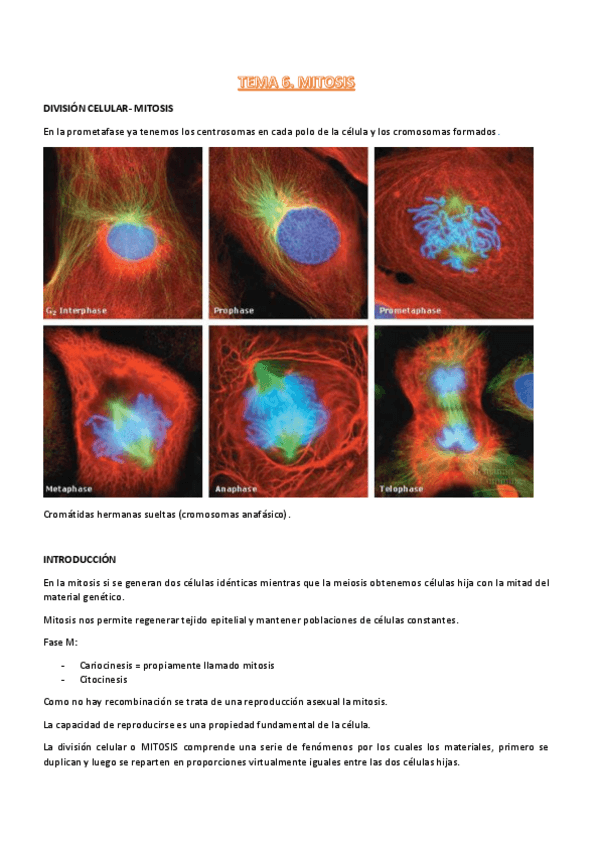 Miniatura del documento t6-procesos-III.pdf