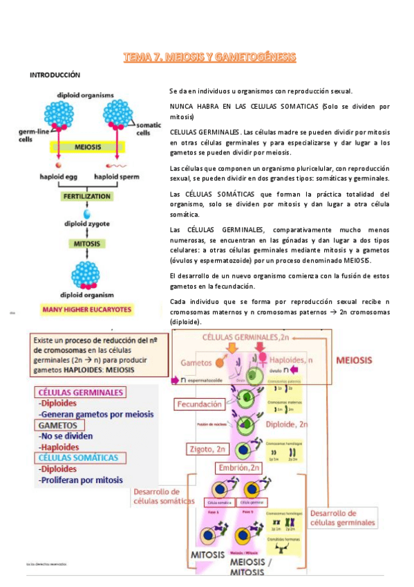 Miniatura del documento t7-procesos-III.pdf