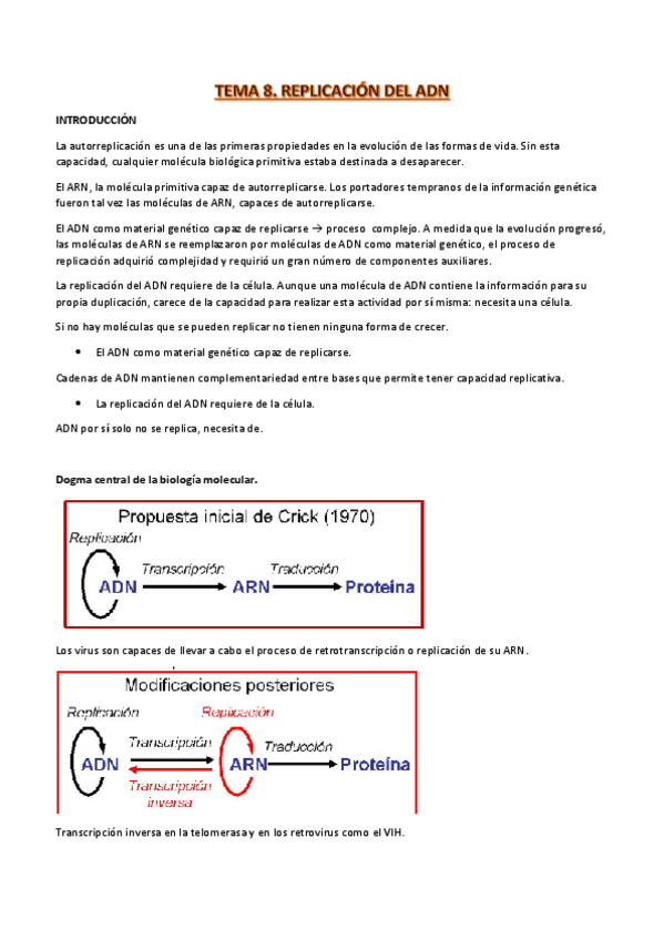 Miniatura del documento t8-proceso-III.pdf