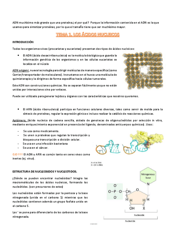 Miniatura del documento t1-procesos-III.pdf