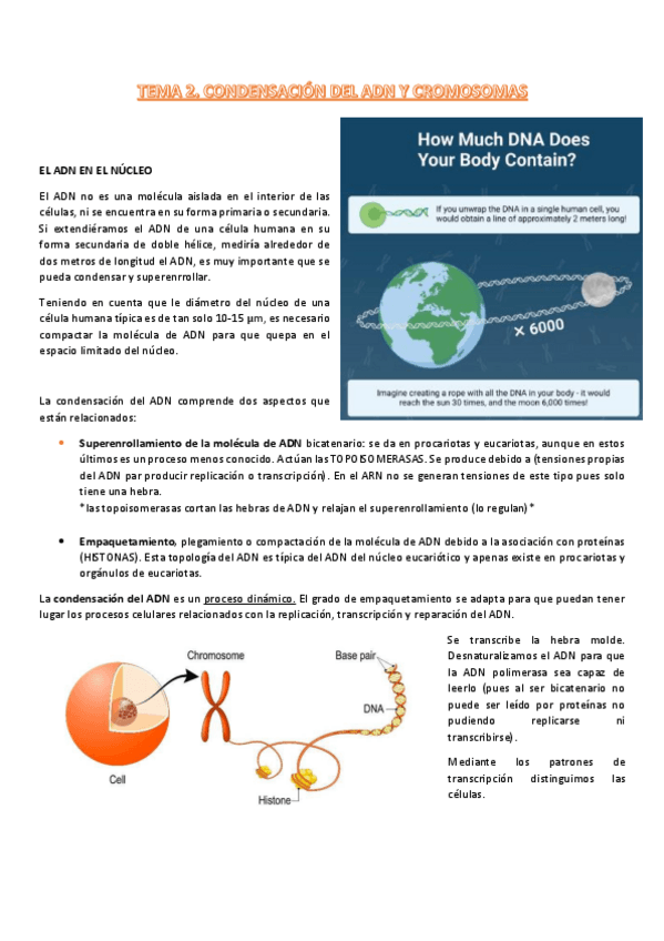 Miniatura del documento t2-procesos-III.pdf