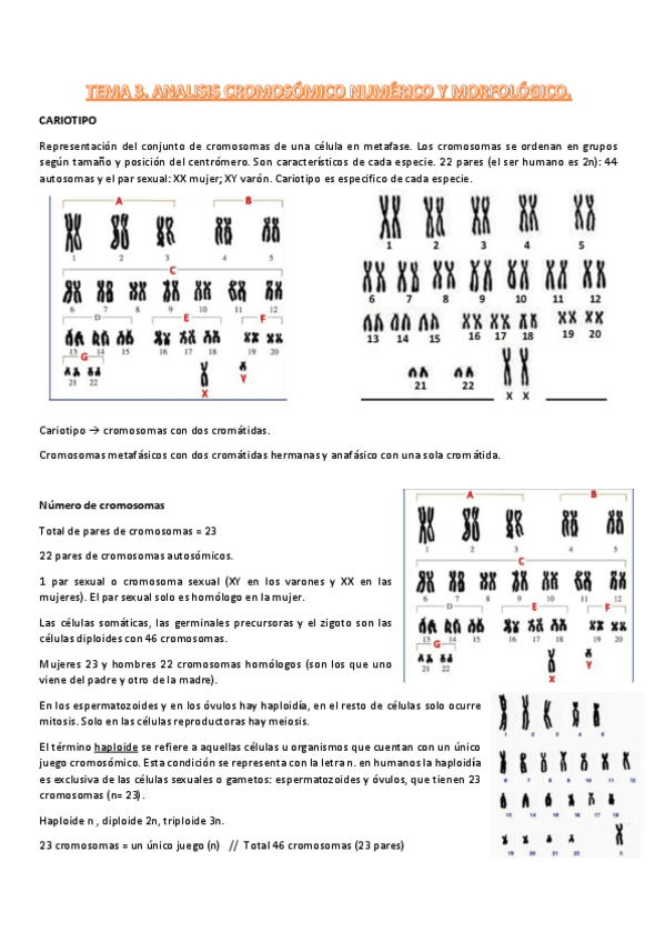 Miniatura del documento t3-procesos-III.pdf
