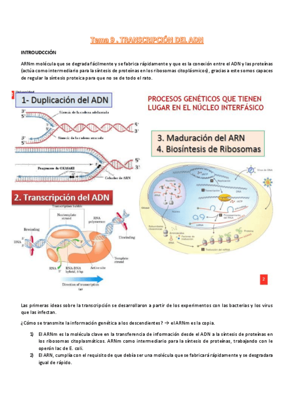 Miniatura del documento t9-procesos-III.pdf