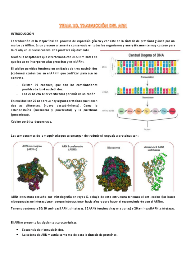Miniatura del documento t10-procesos-III.pdf