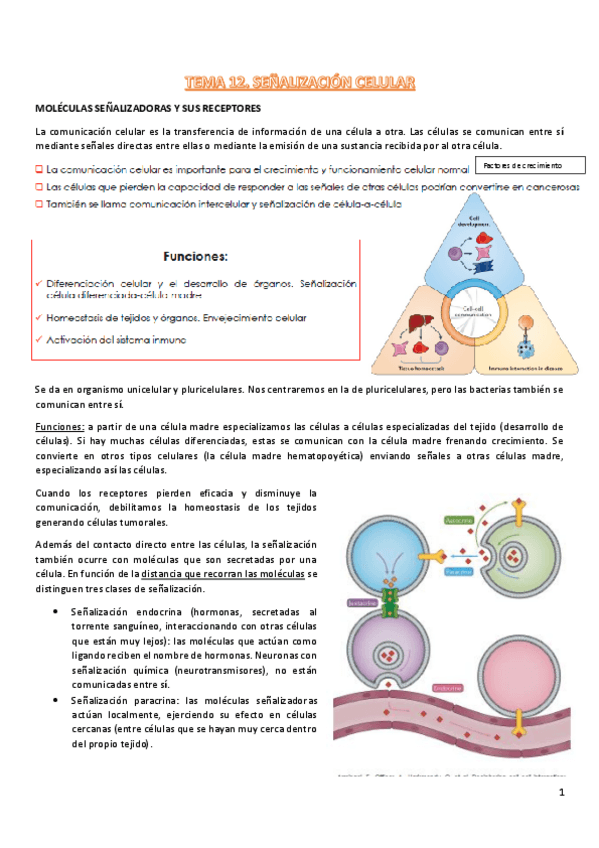 Miniatura del documento t12-procesos-III.pdf
