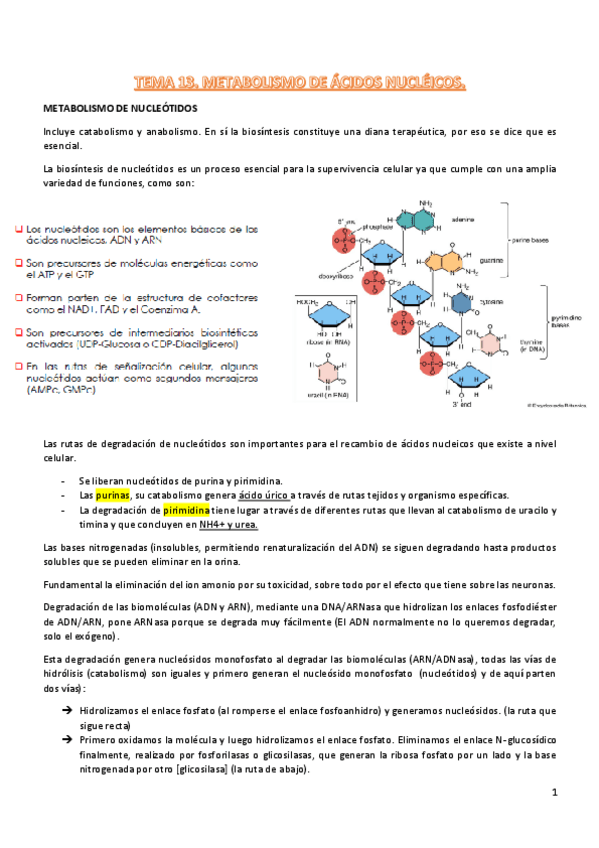 Miniatura del documento t13-procesos-III.pdf