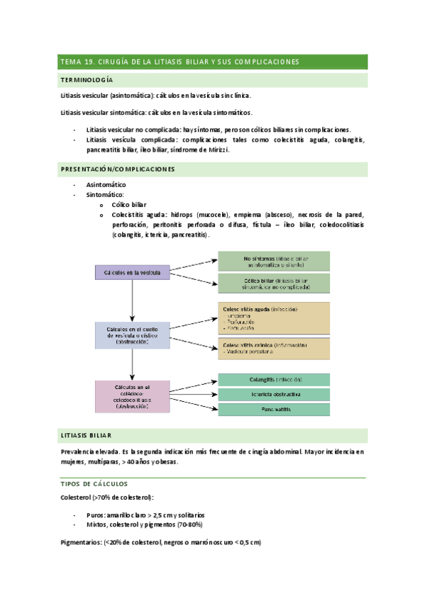 Miniatura del documento TEMA-19.-LITIASIS-Y-SUS-COMPLICACIONES.pdf