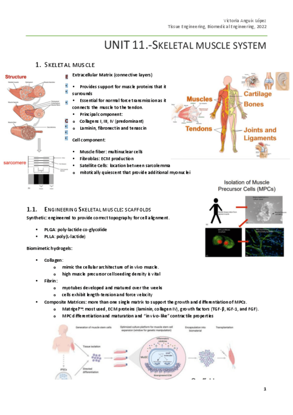 Miniatura del documento Chapter-3-11-13.pdf
