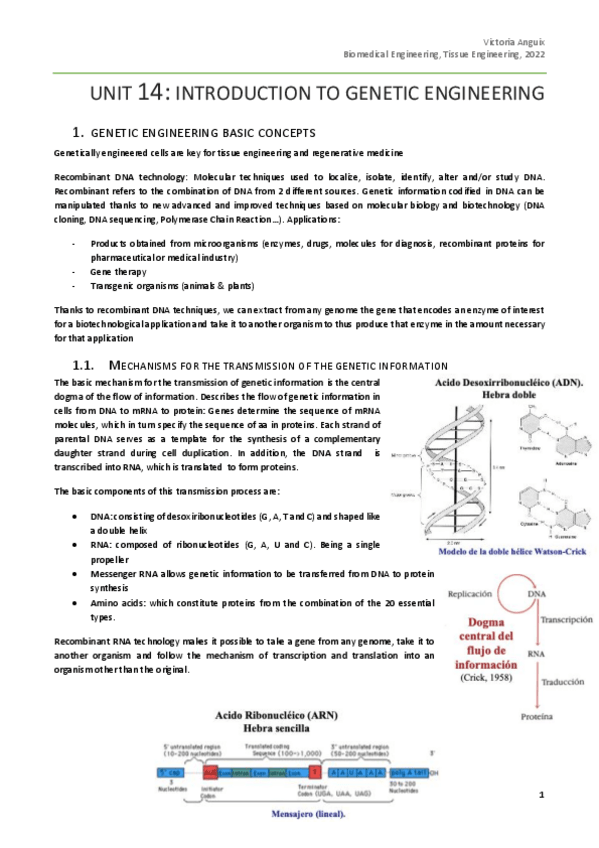 Miniatura del documento Chapter-4.pdf