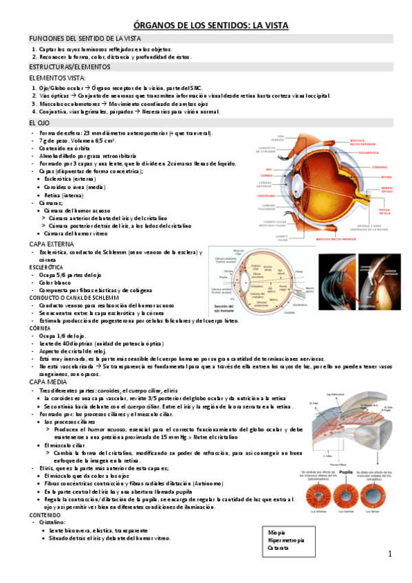 Miniatura del documento VISTA.pdf