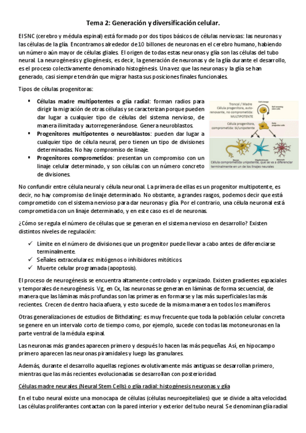 Miniatura del documento T8-NBM-Generacion-y-diversificacion-celular.pdf