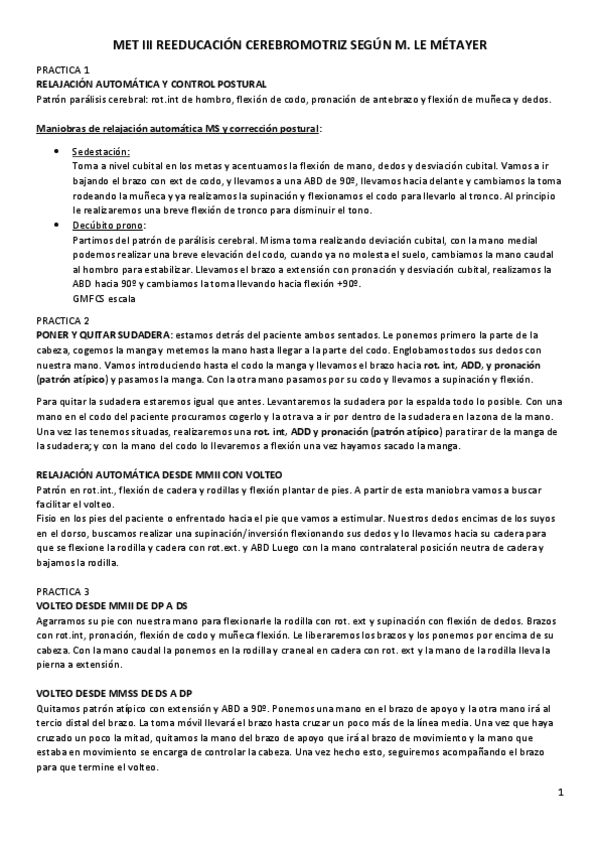 Miniatura del documento LE-METAYER-PRACTICA.pdf