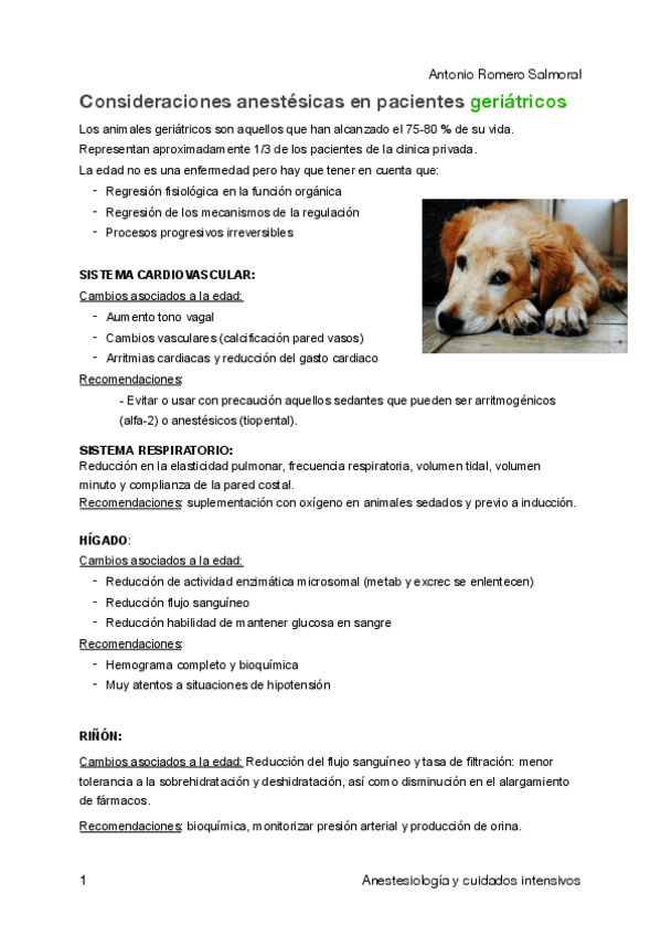 Miniatura del documento Tema-20.-Anestesia-en-pacientes-geriatricos.pdf