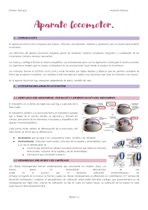 Miniatura del documento Aparato-locomotor.pdf
