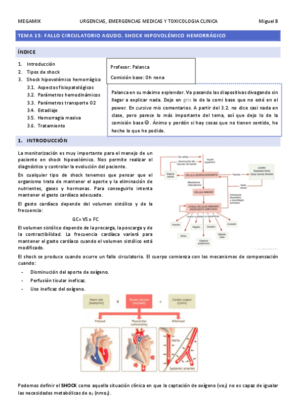 Miniatura del documento Tema-15.-Shock-hipovolemico-hemorragico.pdf