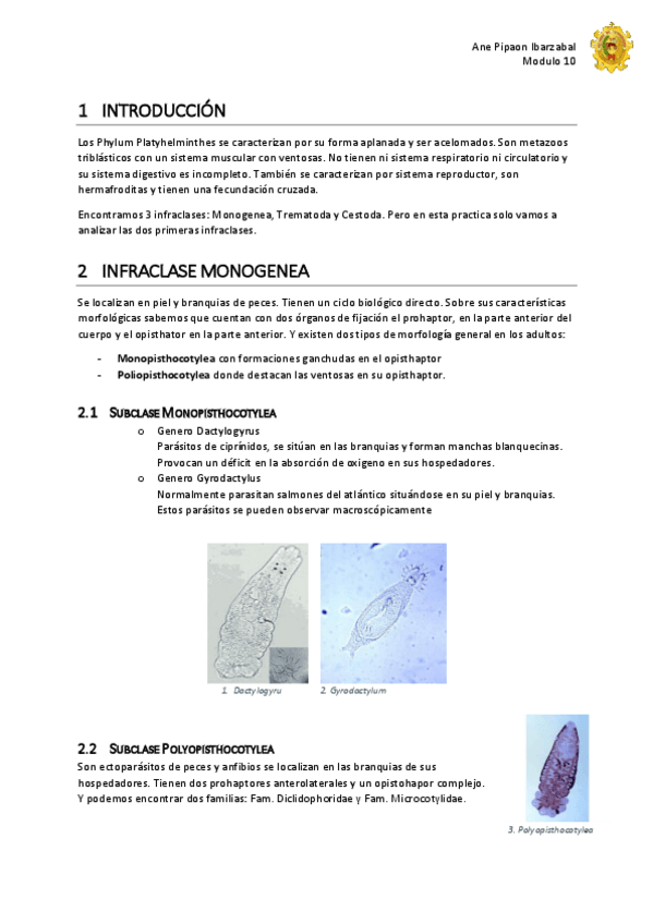 Miniatura del documento Practica-D-1.pdf