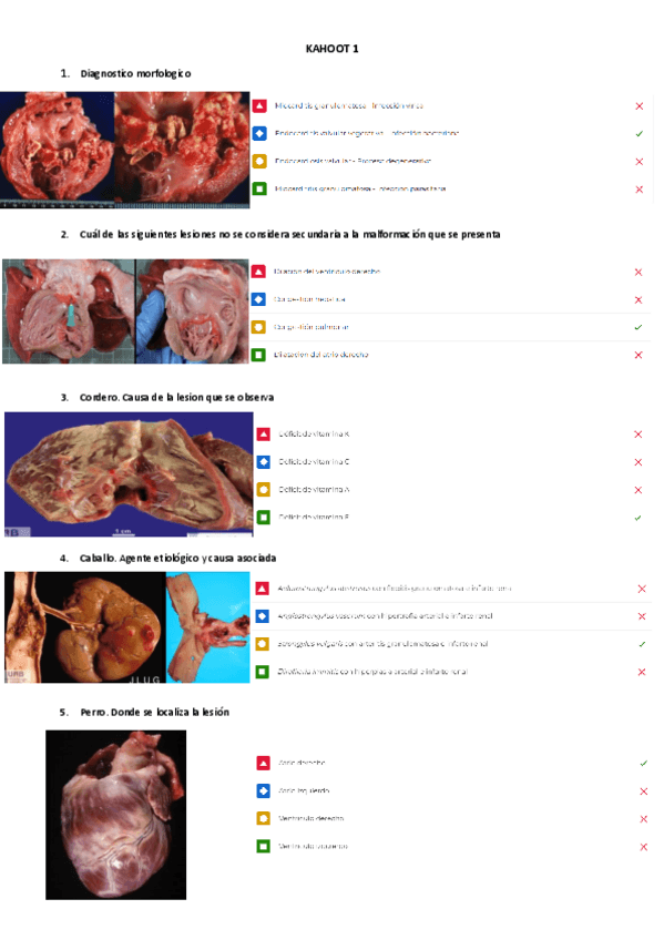 Miniatura del documento Kahoot-1.pdf