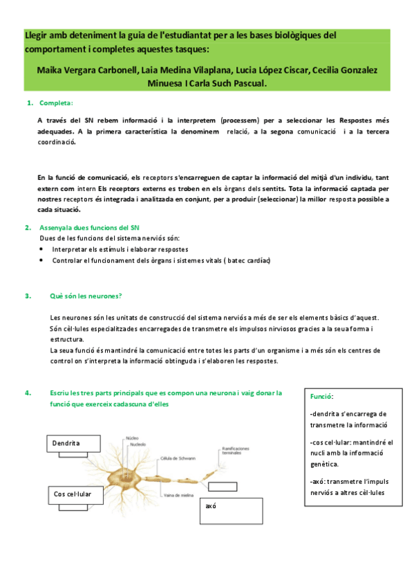 Miniatura del documento activitats-tema-2-psico.pdf