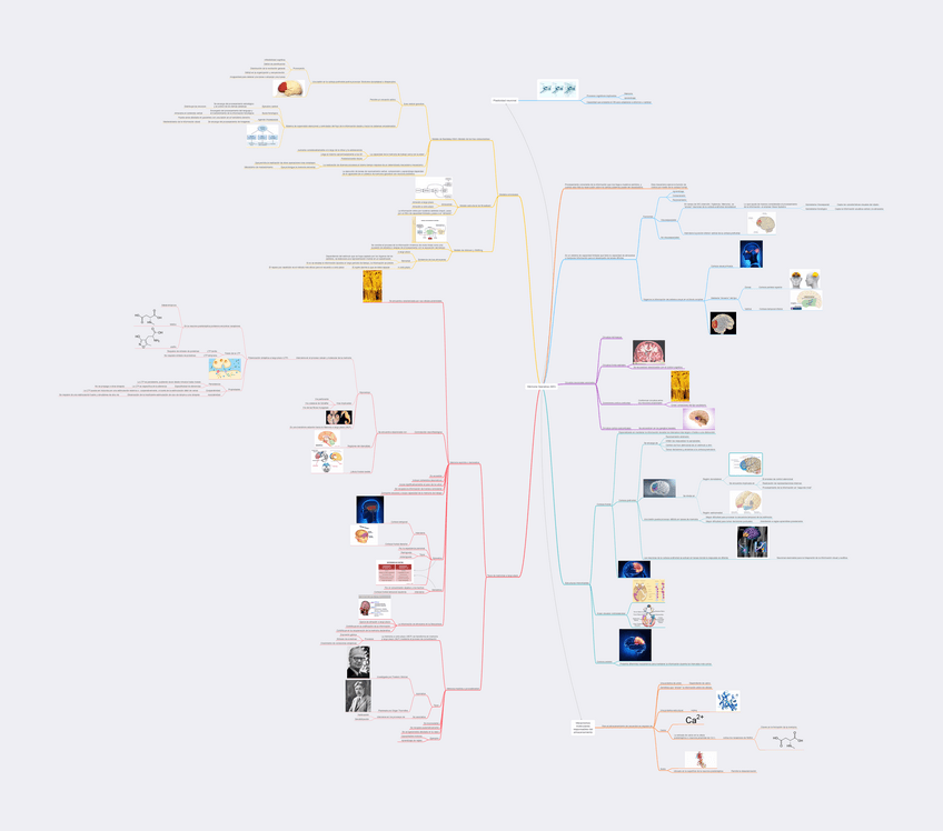 Miniatura del documento Mapa-conceptual-memoria.pdf