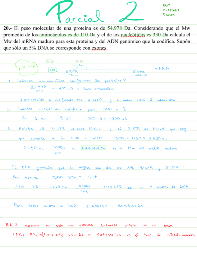 Miniatura del documento Problemas-resueltos-parcial-2.pdf