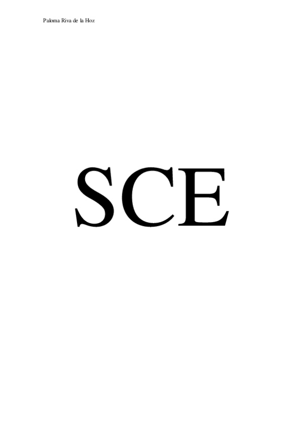 Miniatura del documento SCE primer semestre.pdf