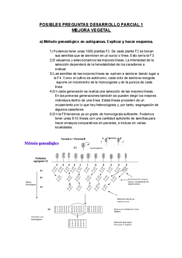 Miniatura del documento POSIBLES-PREGUNTAS-DESARROLLO-PARCIAL-1.pdf