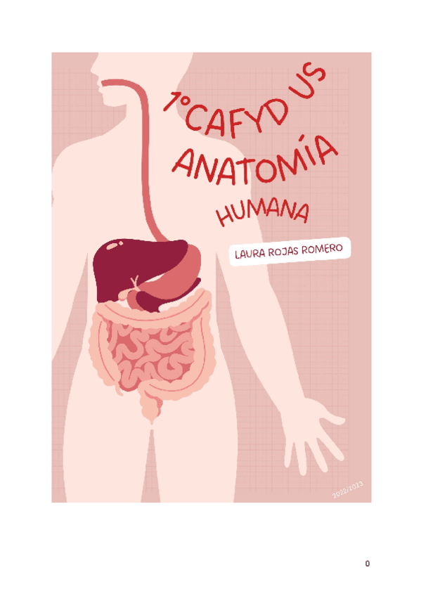 Miniatura del documento TEMA-3.-GENERALIDADES-SOBRE-ARTICULACIONES.-TIPOS-ESTRUCTURAS-Y-MECANICA-ARTICULAR.pdf