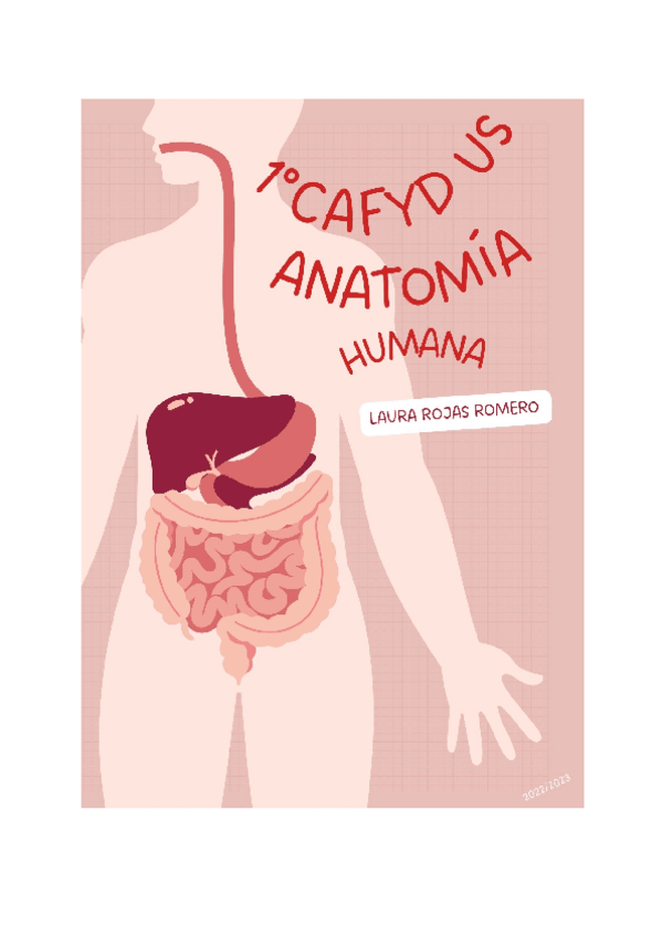 Miniatura del documento TEMA-2.-GENERALIDADES-SOBRE-HUESOS-Y-CARTILAGOS.pdf