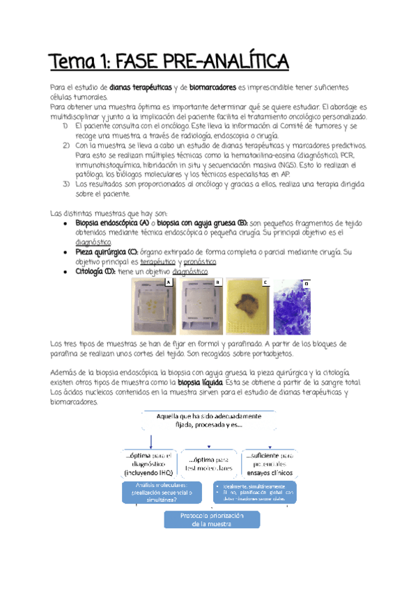 Miniatura del documento Tema-1.pdf