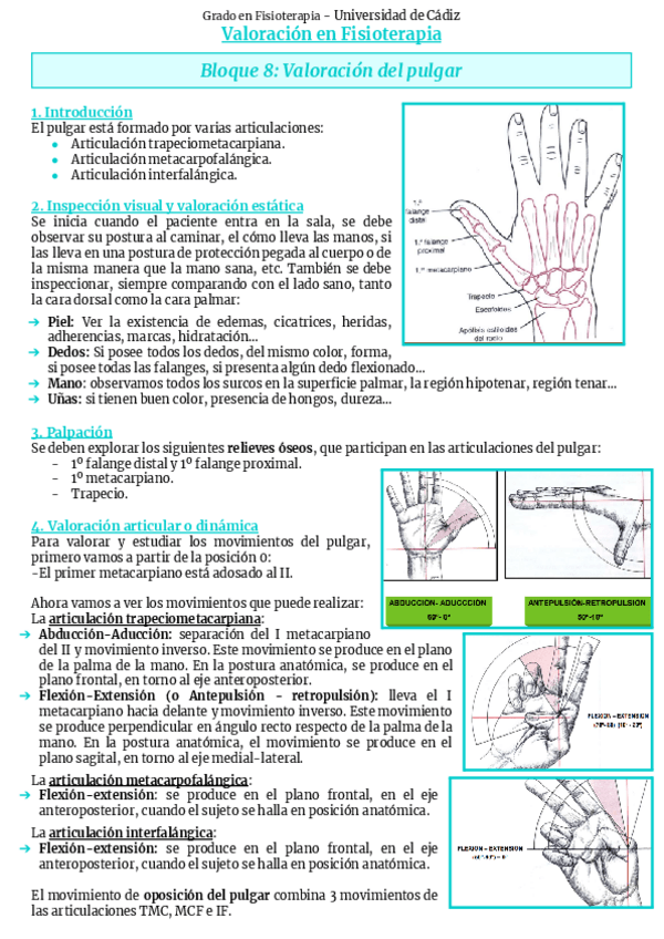 Miniatura del documento Bloque-8-Pulgar.pdf