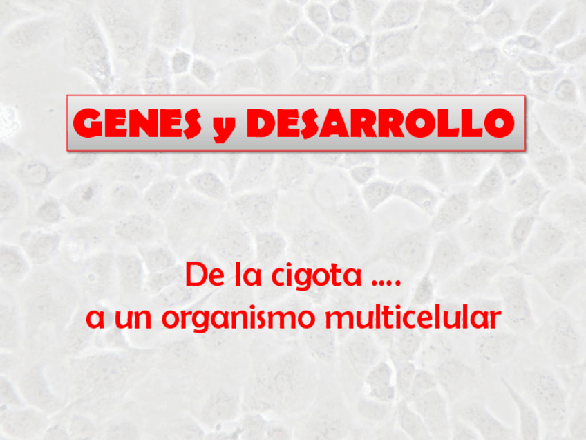 Miniatura del documento Desarrollo-2015.pdf