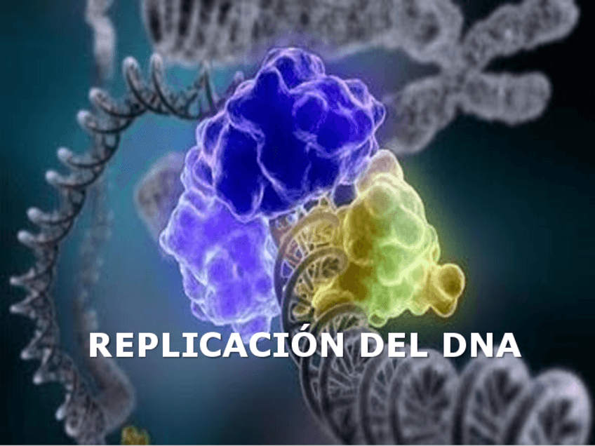 Miniatura del documento Replicacion-08.pdf