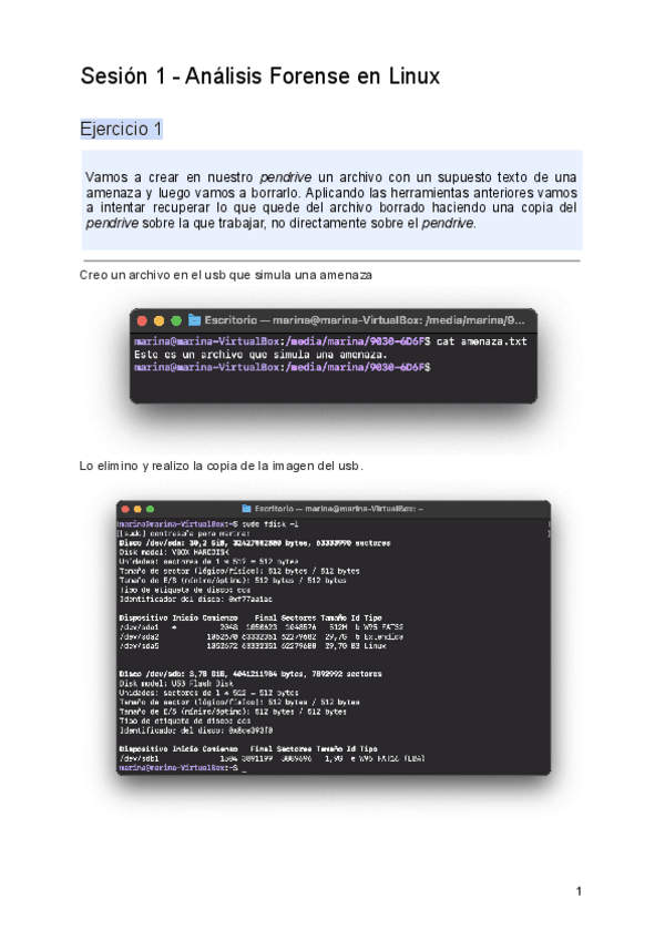 Miniatura del documento P4-Sesion-1.pdf