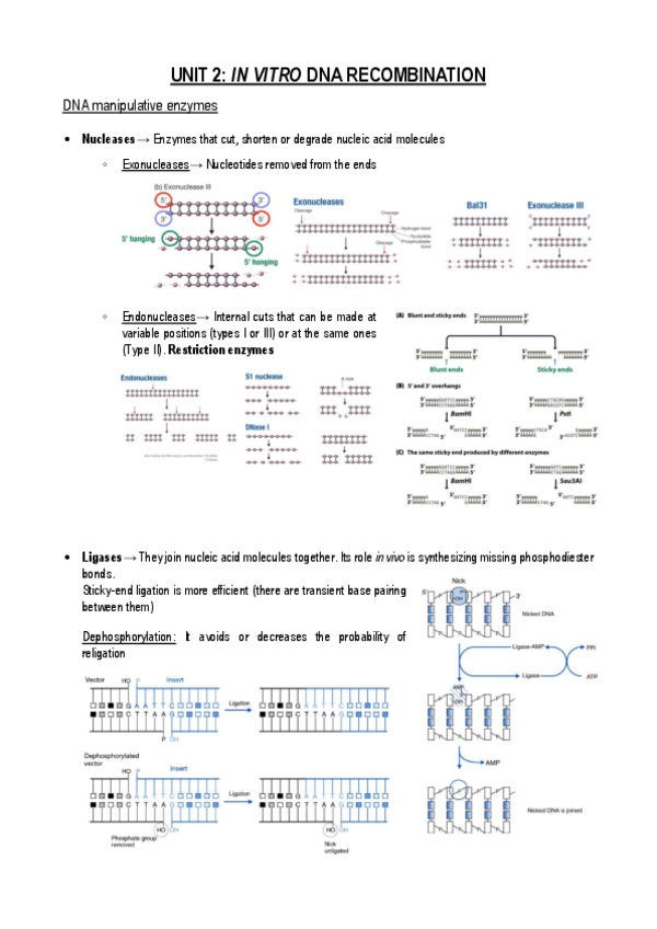 Miniatura del documento UNIT-2.pdf