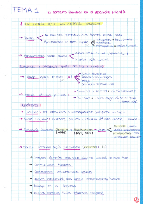 Miniatura del documento TEMA-1-RESUMEN-ESQUEMA.pdf