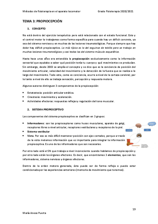Miniatura del documento TEMA-3.-PROPIOCEPCION.pdf
