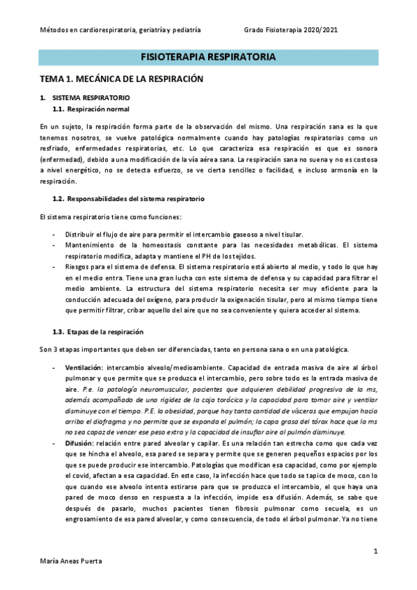 Miniatura del documento TEORIA-RESPIRATORIO.pdf