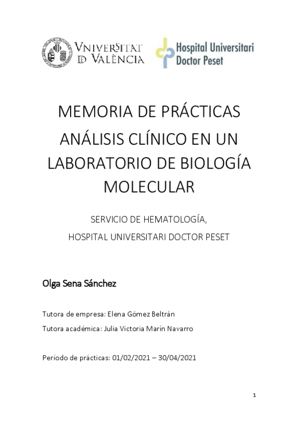 Miniatura del documento Memoria-de-practicasOlgaSenaSanchez.pdf