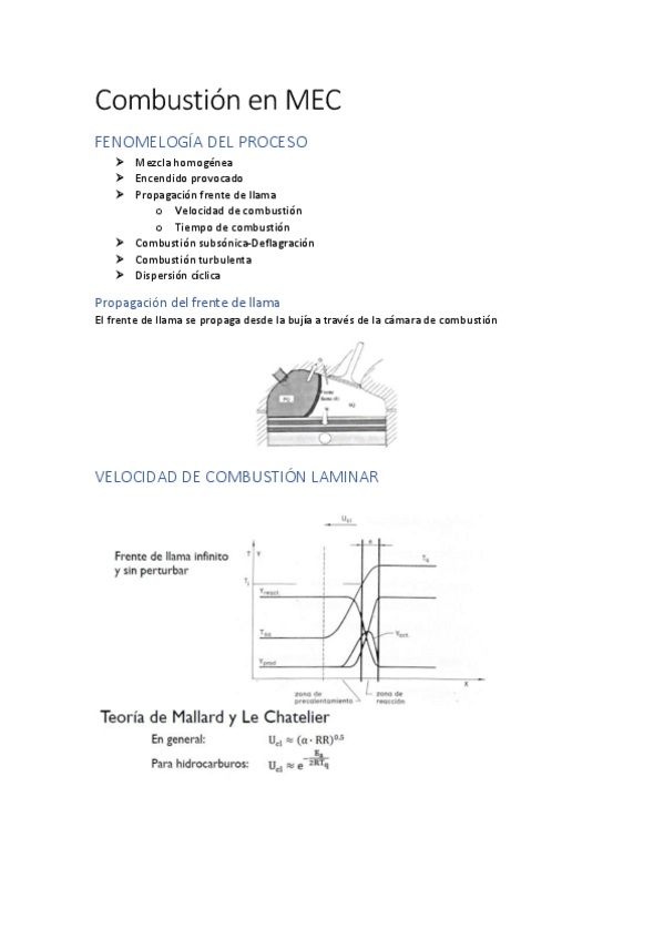 Miniatura del documento 9.-Combustion-en-MEP.pdf
