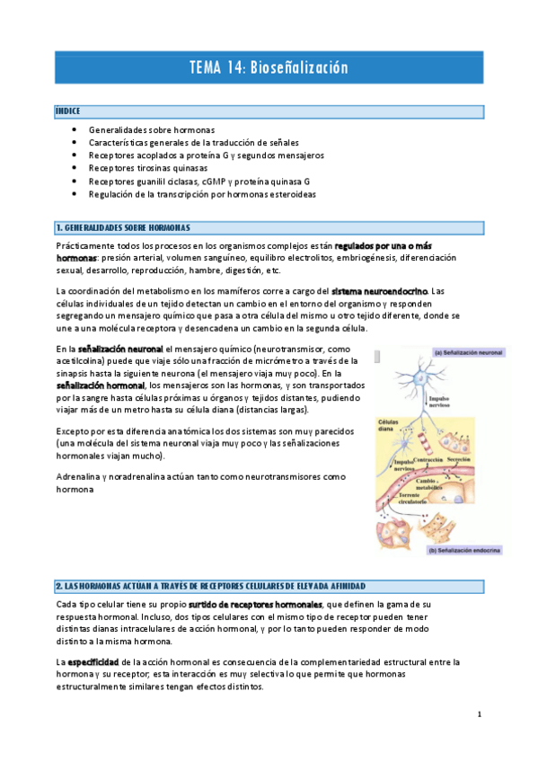 Miniatura del documento TEMA-14-BIOQUIMICA-II.pdf