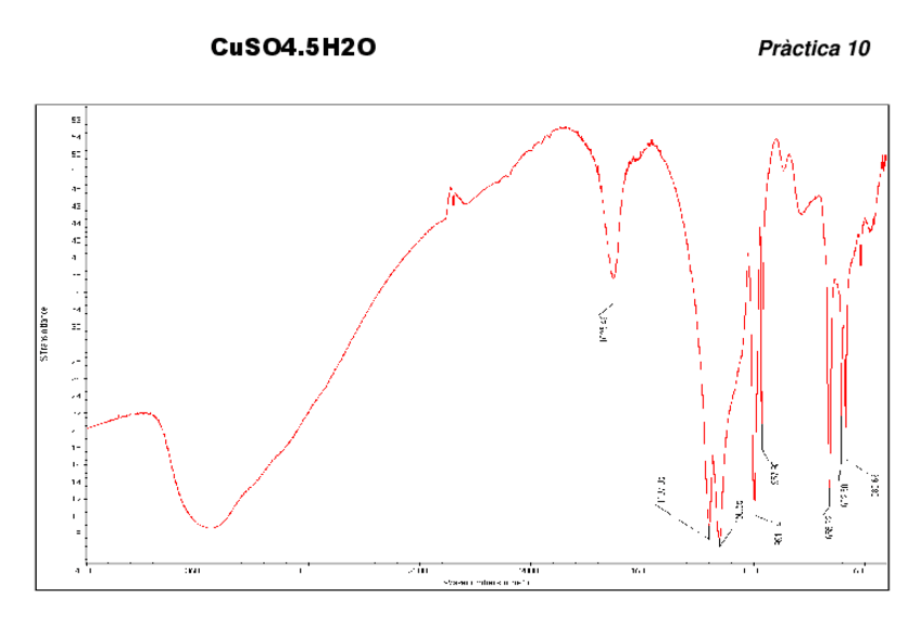 Miniatura del documento Practica10.pdf