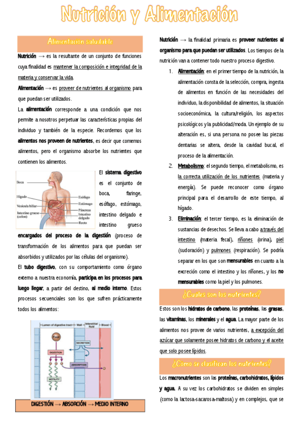 Miniatura del documento Nutricion-y-Alimentacion.pdf