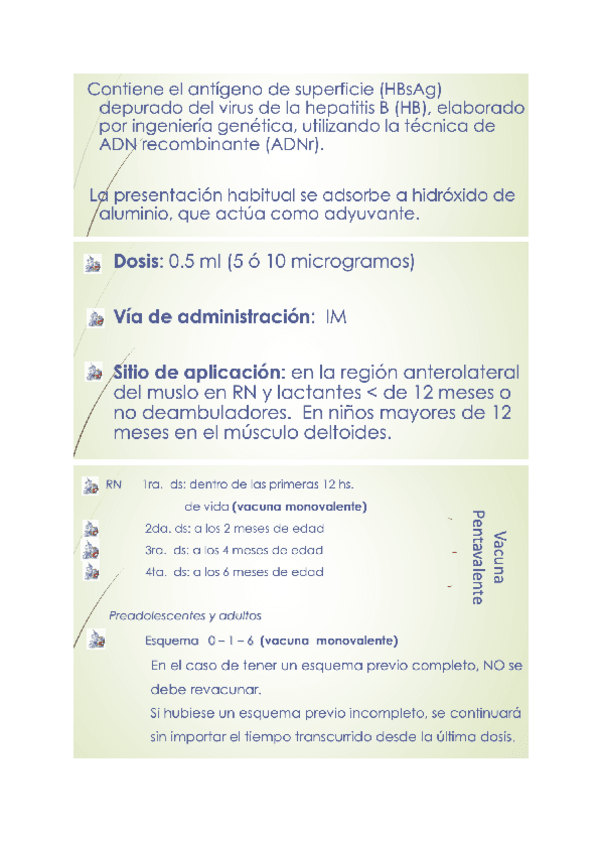 Miniatura del documento Vacuna-Hepatitis-B.pdf