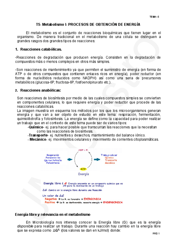 Miniatura del documento TEMA-5.pdf