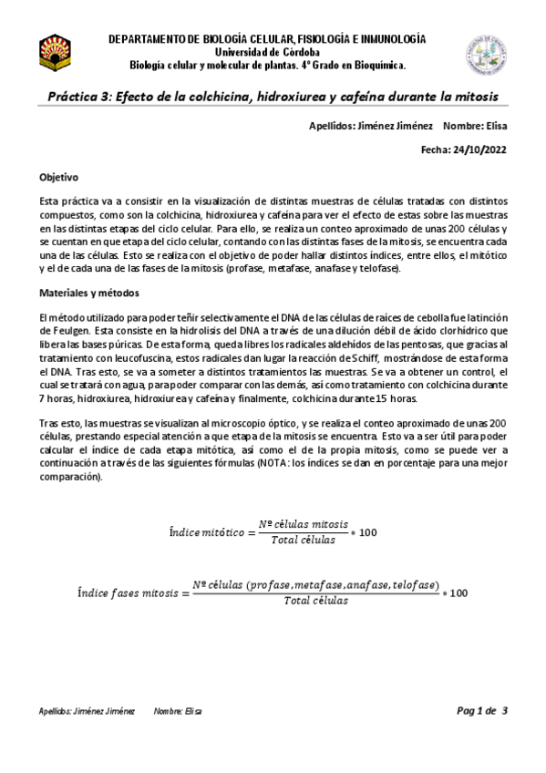 Miniatura del documento Practica-3.pdf