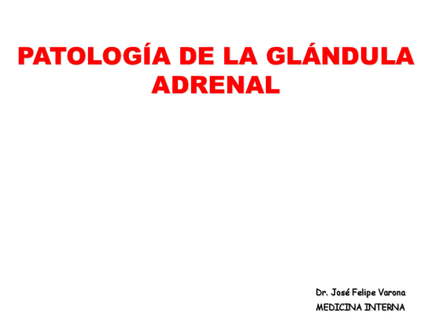 Miniatura del documento 15-FP-Adrenal2023.pdf.pdf