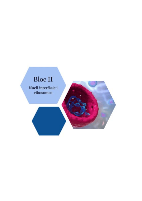 Miniatura del documento BCG: bloc II-nucli interfasic i ribosomes.pdf