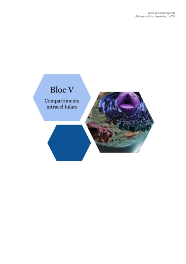 Miniatura del documento BCG: bloc V-compartiments intracel·lulars.pdf