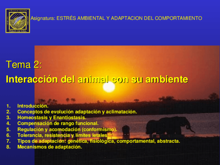 Miniatura del documento Adaptema2-2011(2).ppt